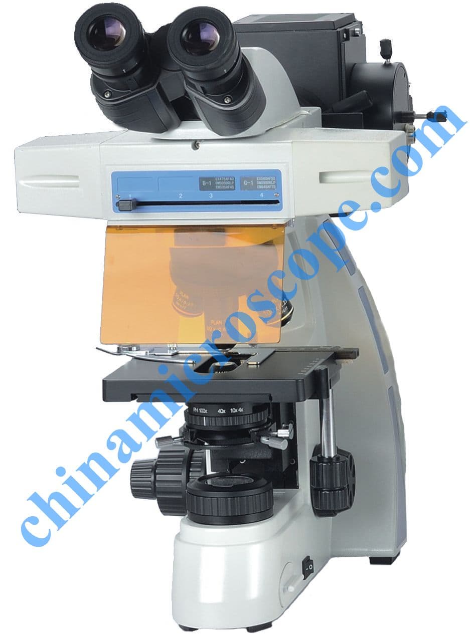XSZ_EF30 microscope